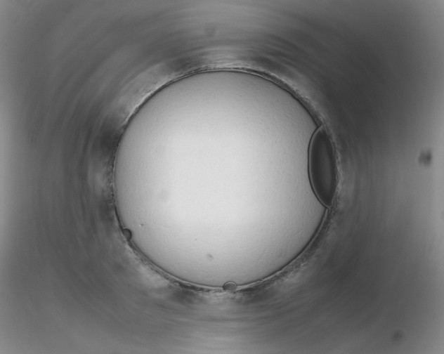 X0000116310897200912211920