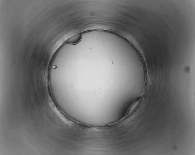 X0000116310898200912211920