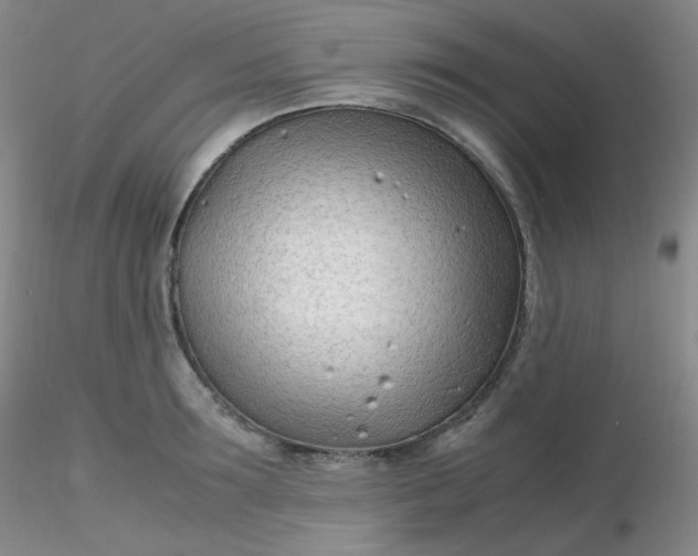 X0000116310899200912211920