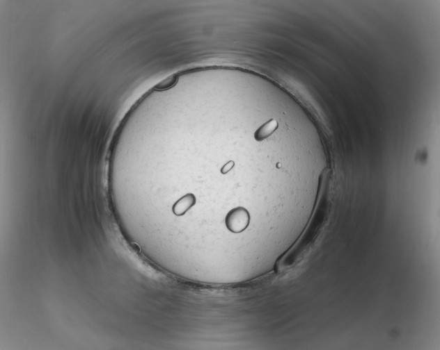 X0000116310900200912211920