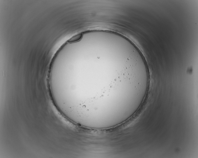 X0000116310901200912211920