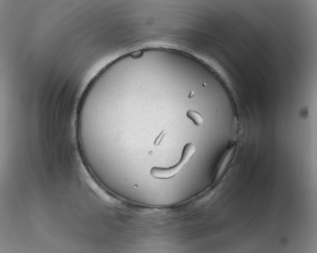 X0000116310902200912211920