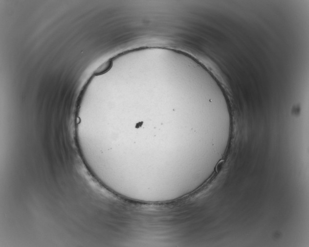 X0000116310904200912211920