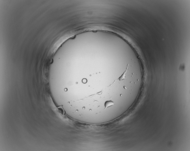 X0000116310905200912211920