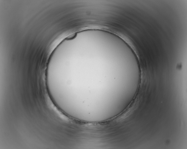 X0000116310906200912211920