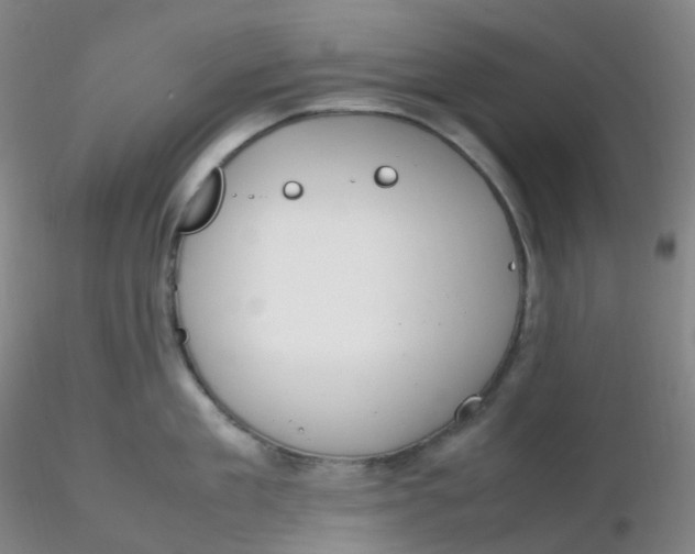 X0000116310909200912211920