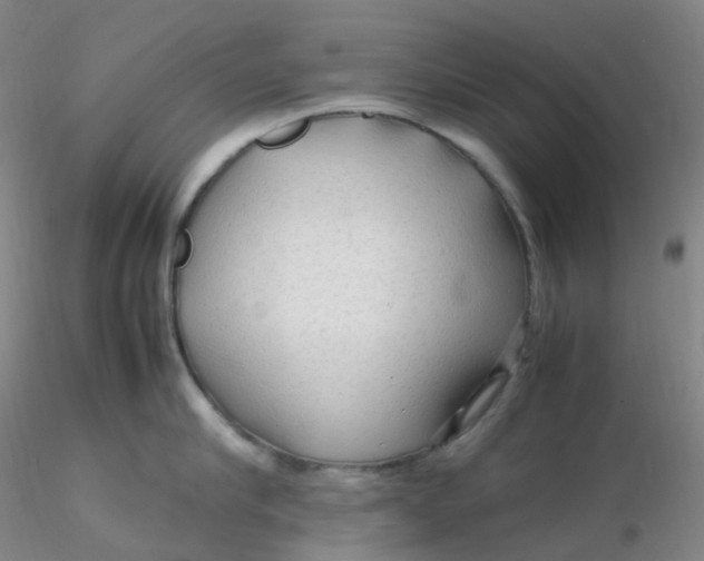 X0000116310910200912211920