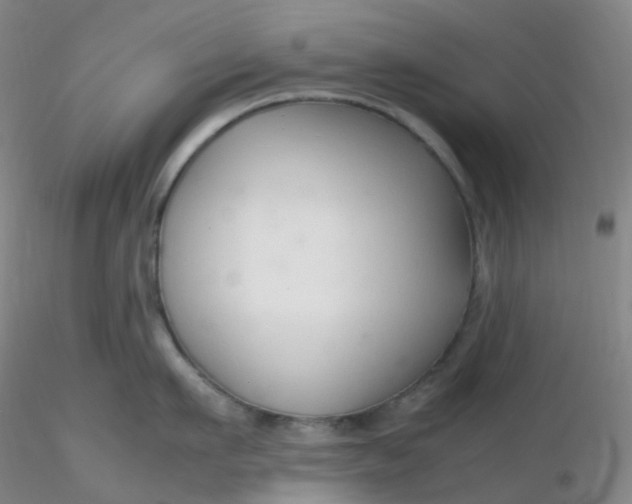 X0000116310911200912211920