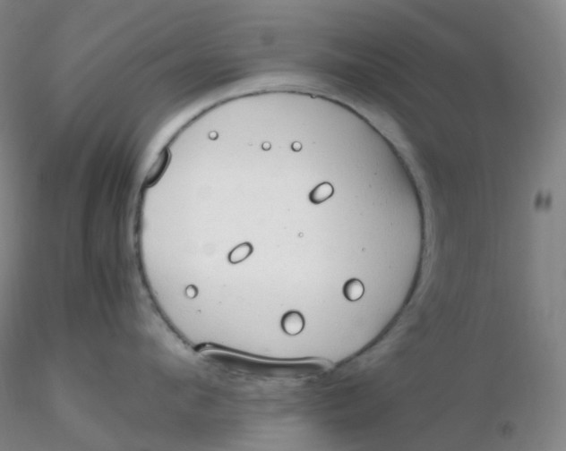 X0000116310912200912211920