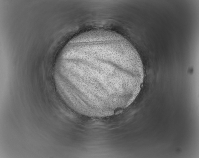 X0000116310913200912211919