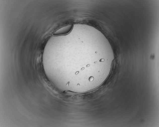 X0000116310914200912211919