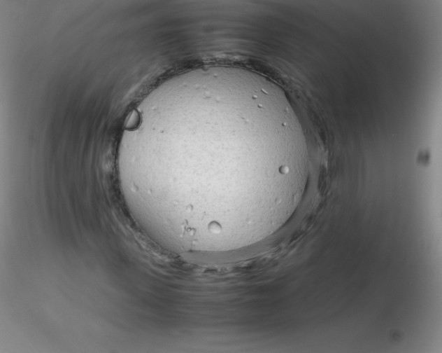 X0000116310915200912211919