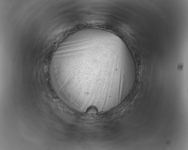 X0000116310917200912211919