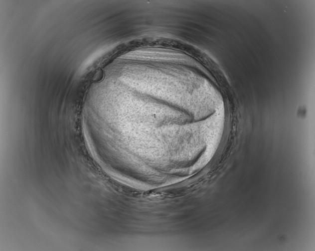 X0000116310919200912211919