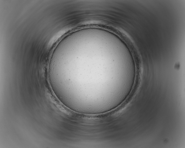 X0000116310921200912211919