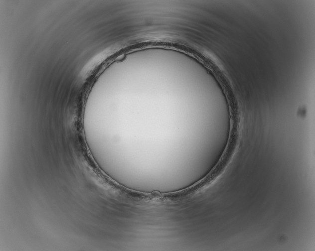 X0000116310922200912211919