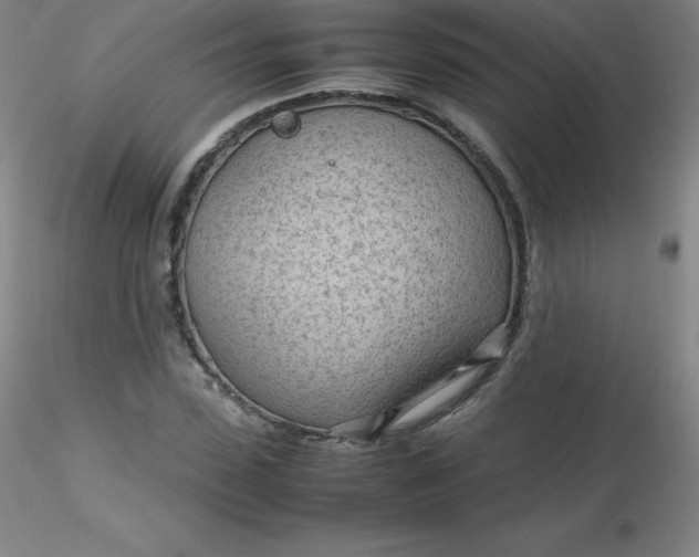 X0000116310923200912211919