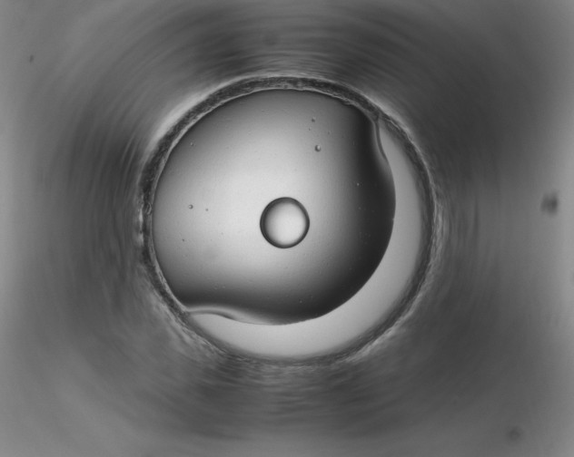 X0000116310925200912211919