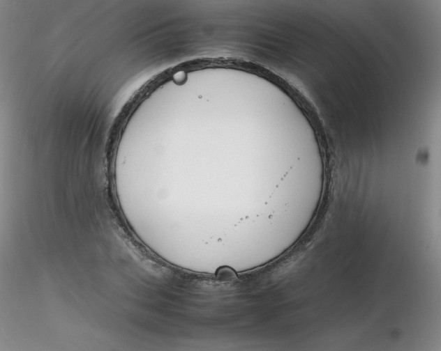 X0000116310927200912211919