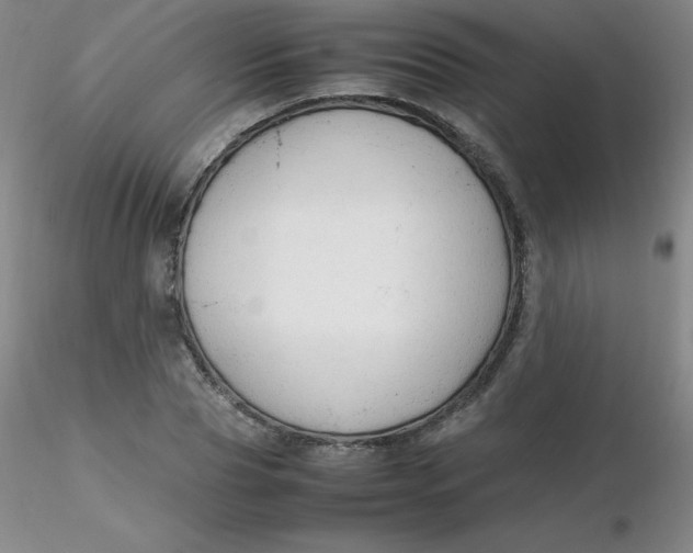 X0000116310929200912211919