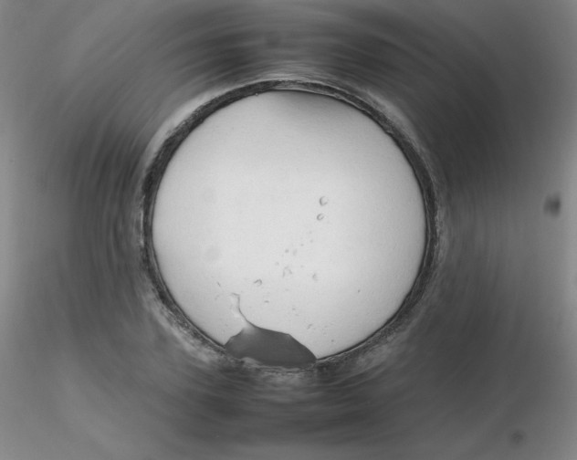 X0000116310931200912211919