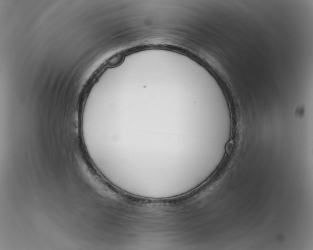 X0000116310934200912211919