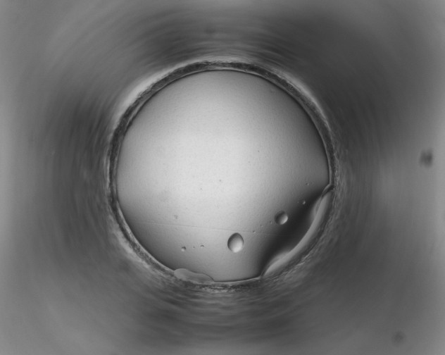 X0000116310935200912211919