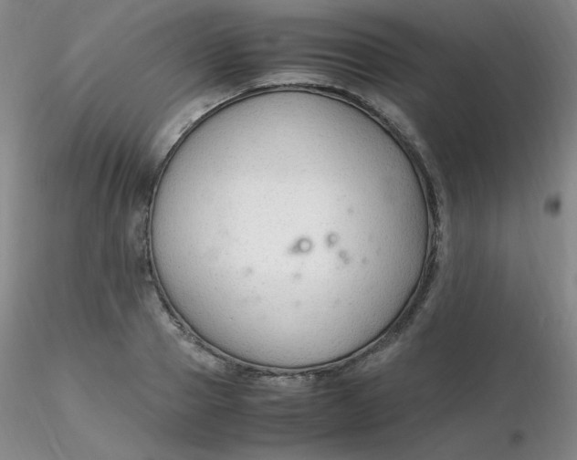 X0000116310937200912211919