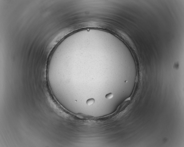 X0000116310938200912211919