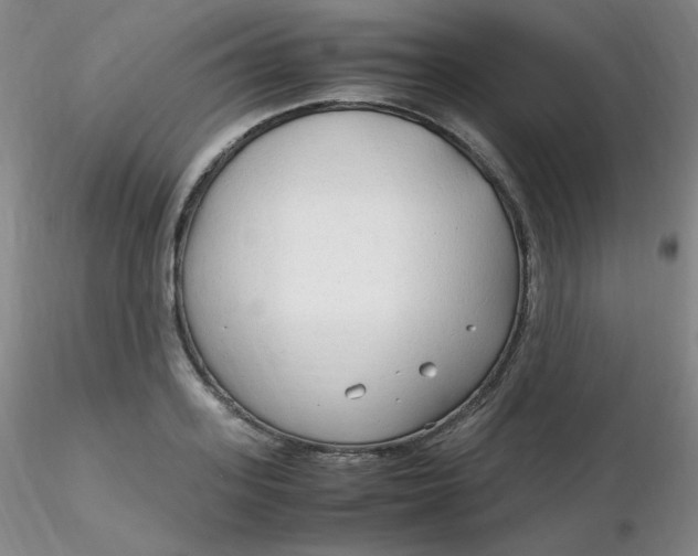 X0000116310939200912211919