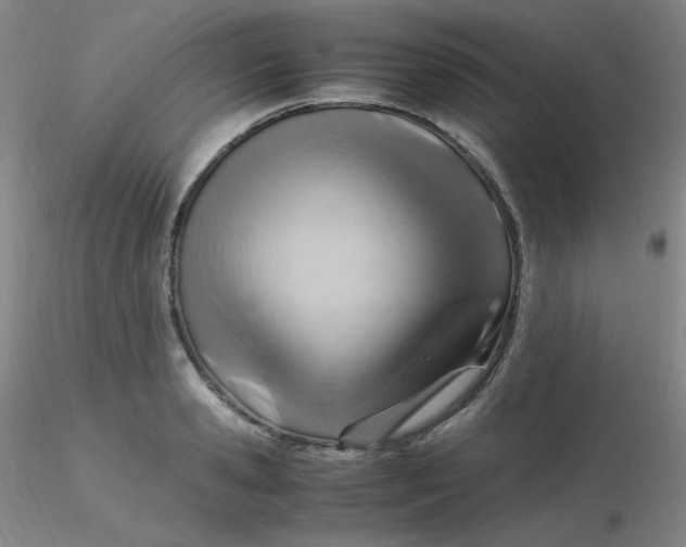 X0000116310941200912211919