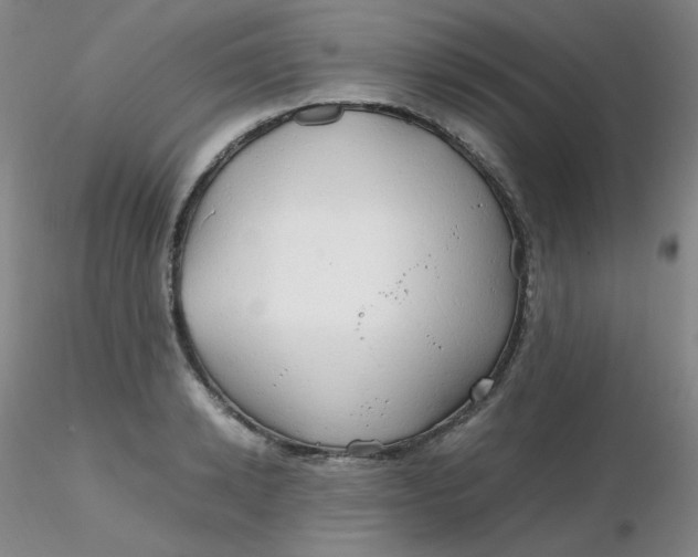 X0000116310942200912211919