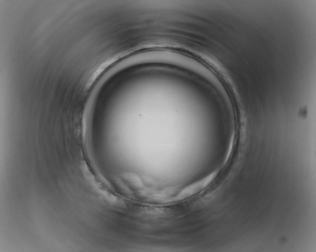 X0000116310945200912211919