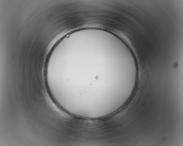 X0000116310947200912211919