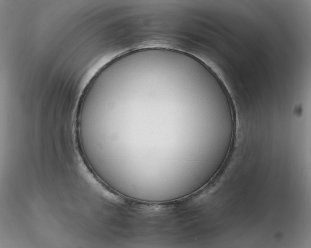 X0000116310949200912211919