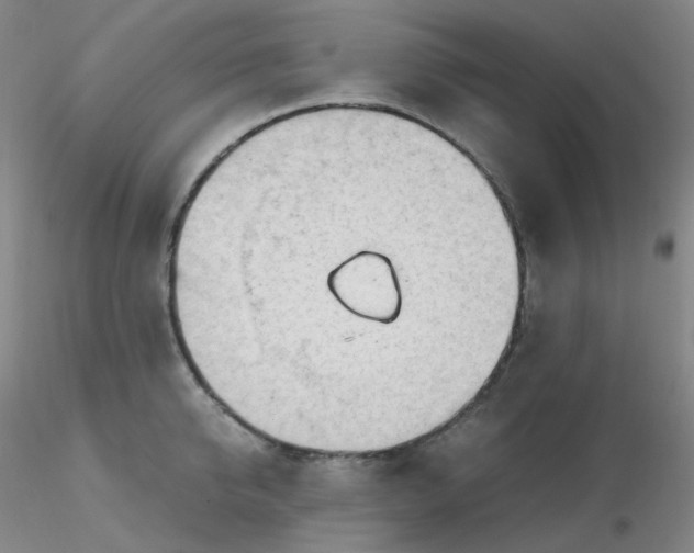 X0000116310950200912211919