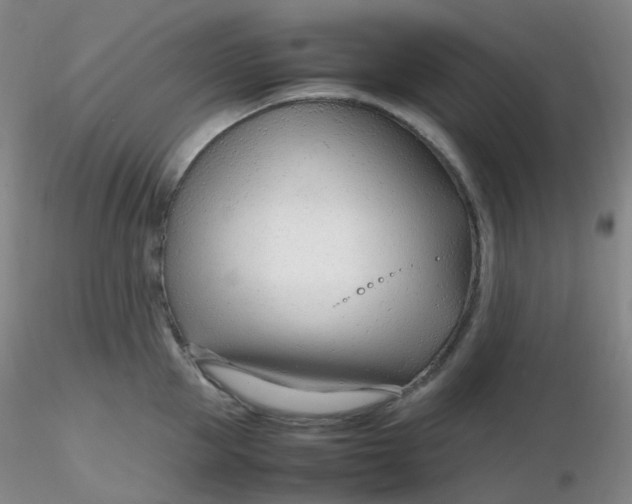 X0000116310953200912211919