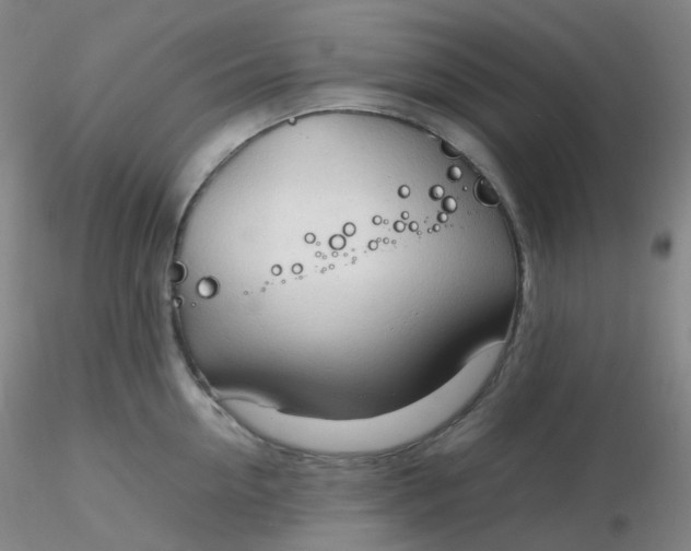 X0000116310954200912211919