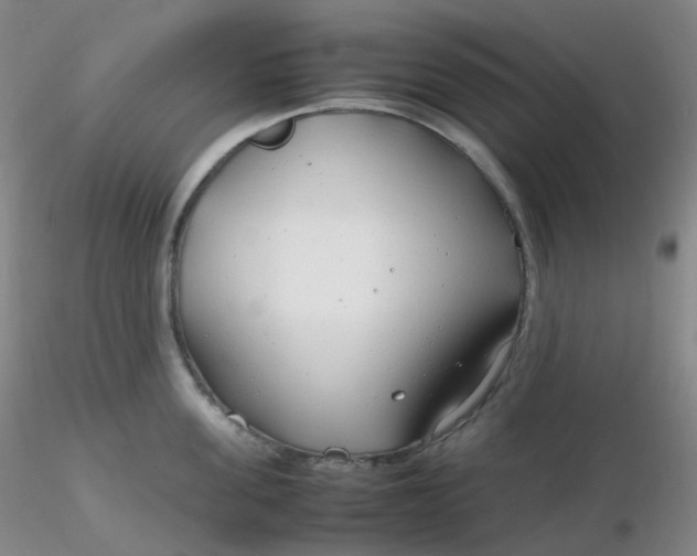 X0000116310955200912211920