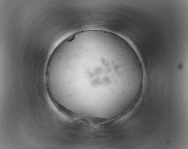 X0000116310957200912211920