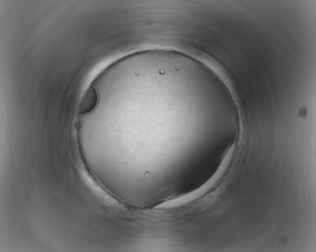 X0000116310958200912211920