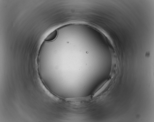 X0000116310959200912211920