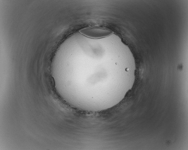 X0000116310961200912211919