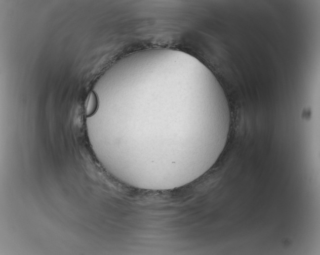 X0000116310962200912211919