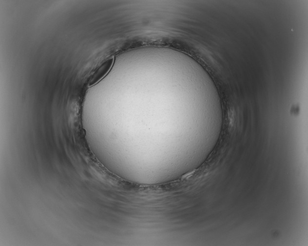 X0000116310964200912211919