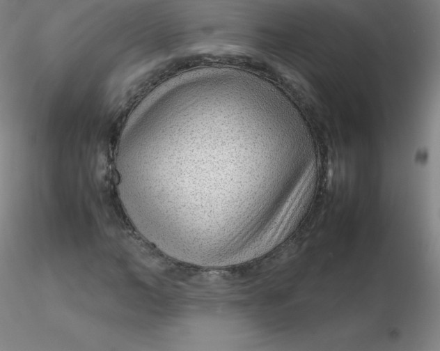 X0000116310966200912211919