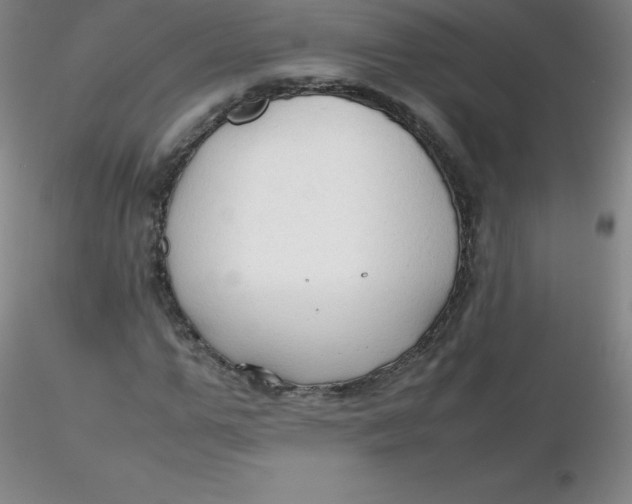 X0000116310967200912211919