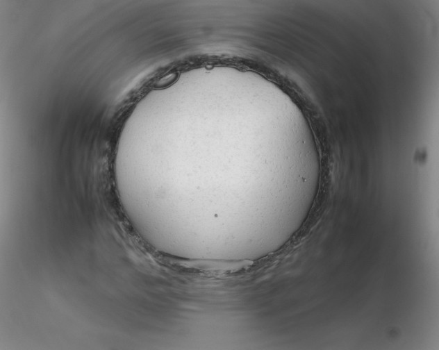 X0000116310968200912211919