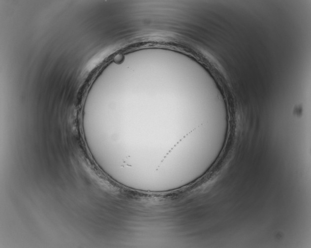 X0000116310970200912211919