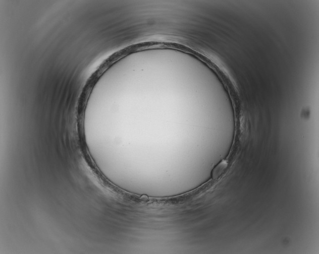 X0000116310972200912211919